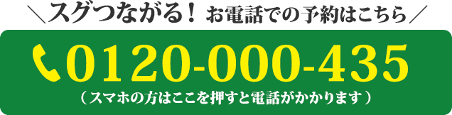 電話番号：0120-000-435