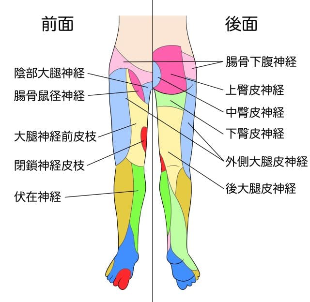 原因図の説明イラスト