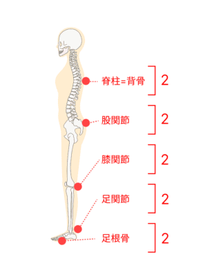 均等に関節に負荷がかかるイラスト